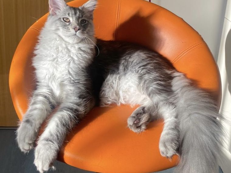 We are now taking on new clients again